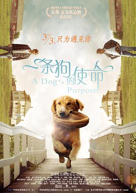 三级网站片