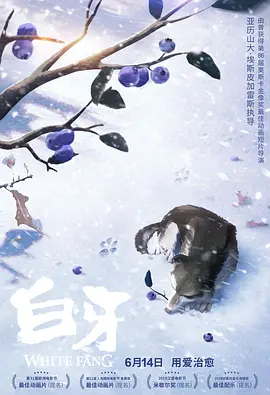 99久久精品免费看国产电影