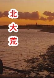 精品一区二区三区在线观看