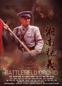 我的姐姐是模特