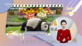 亚洲视频在线一区二区